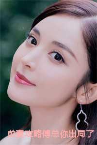 前妻攻略人物介绍