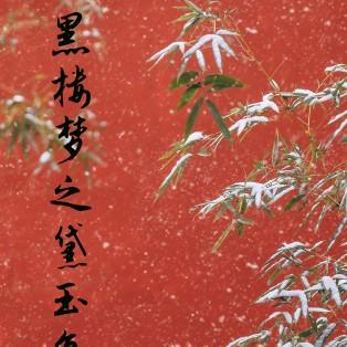 黑楼梦之黛玉复仇记txt