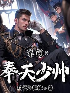 军阀兄长走后留给我整个奉军