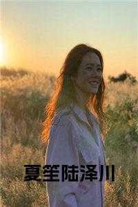 夏泽