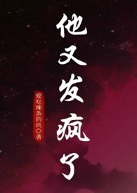 他又发疯了免费阅读全文无弹窗