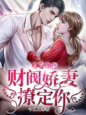 财阀小娇妻宠妻合集