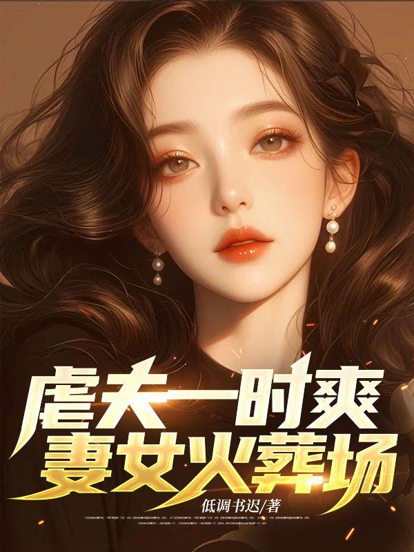 追夫火葬场的电视