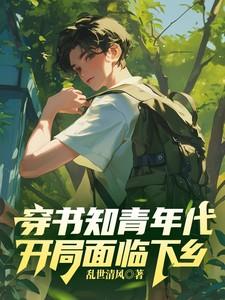 穿书知青的