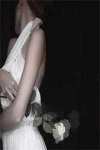 河伯正在格式化海涛江龙王