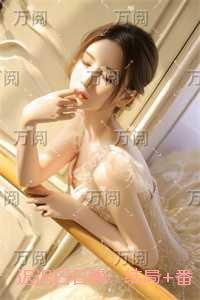 迟迟白日晚:全集小说推荐