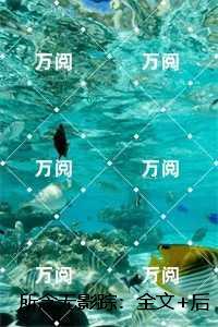 所念无影踪：全文+后续