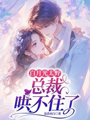 白月光太野,总裁哄不住了