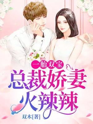 一胎双宝:总裁娇妻火辣辣