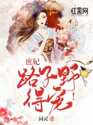 庶妃路子野,得宠!