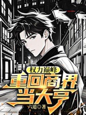 权力巅峰：重回商界当大亨