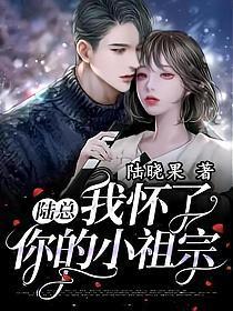 陆总,我怀了你的小祖宗