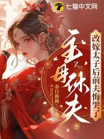 主母休夫,改嫁太子后前夫悔哭了