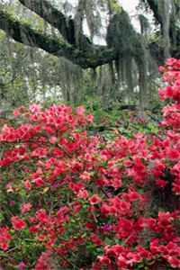 十年纠缠:脑癌晚期,我选择了放手!快手新书