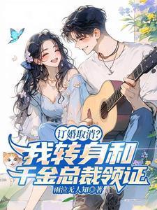订婚取消?我转身和千金总裁领证