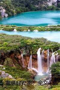 雪落时无声：全文+结局+番外姜瑞雪谢与安