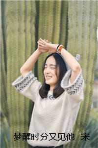 梦醒时分又见他 宋意傅西京