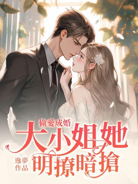 偷爱成婚,大小姐她明抢暗撩