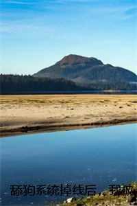 舔狗系统掉线后,我被娇宠了苏乞江枫纯净无弹窗版