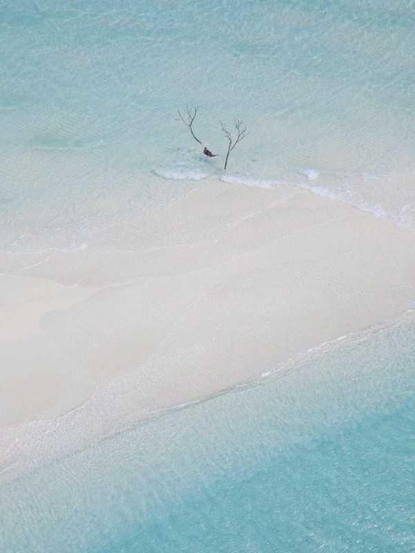 团宠假千金,首富全家火葬场