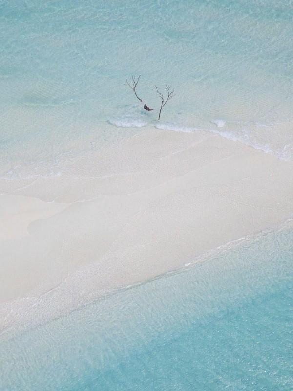 重回顶流后我开始了复仇之路