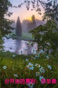 分开走的离别:你总是爱她随风