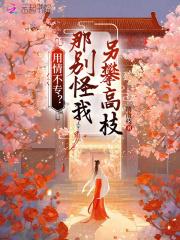 用情不专?那别怪我另攀高枝