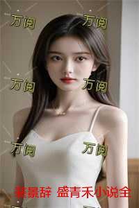 裴景辞 盛青禾小说全文阅读