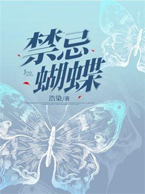 禁忌蝴蝶