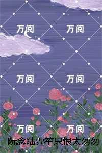 阮念陆霆笙只恨太匆匆：结局+番外