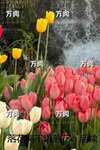 落花洞不再落花：+后续